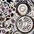 Mechanism Steel Skeleton & Tourbillon