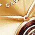 Water Resistance Gold Edition Tourbillon