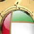 Coat of Arms Dubai Falcon