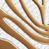 Phone Body Golden Rose
