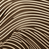 Decorative pattern Gold Dragon