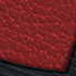 Meteorite Leo
