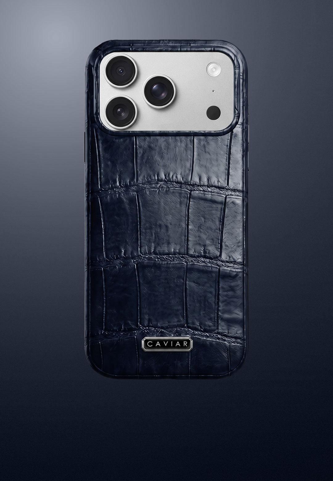 Case with a silver body Stellar Blue