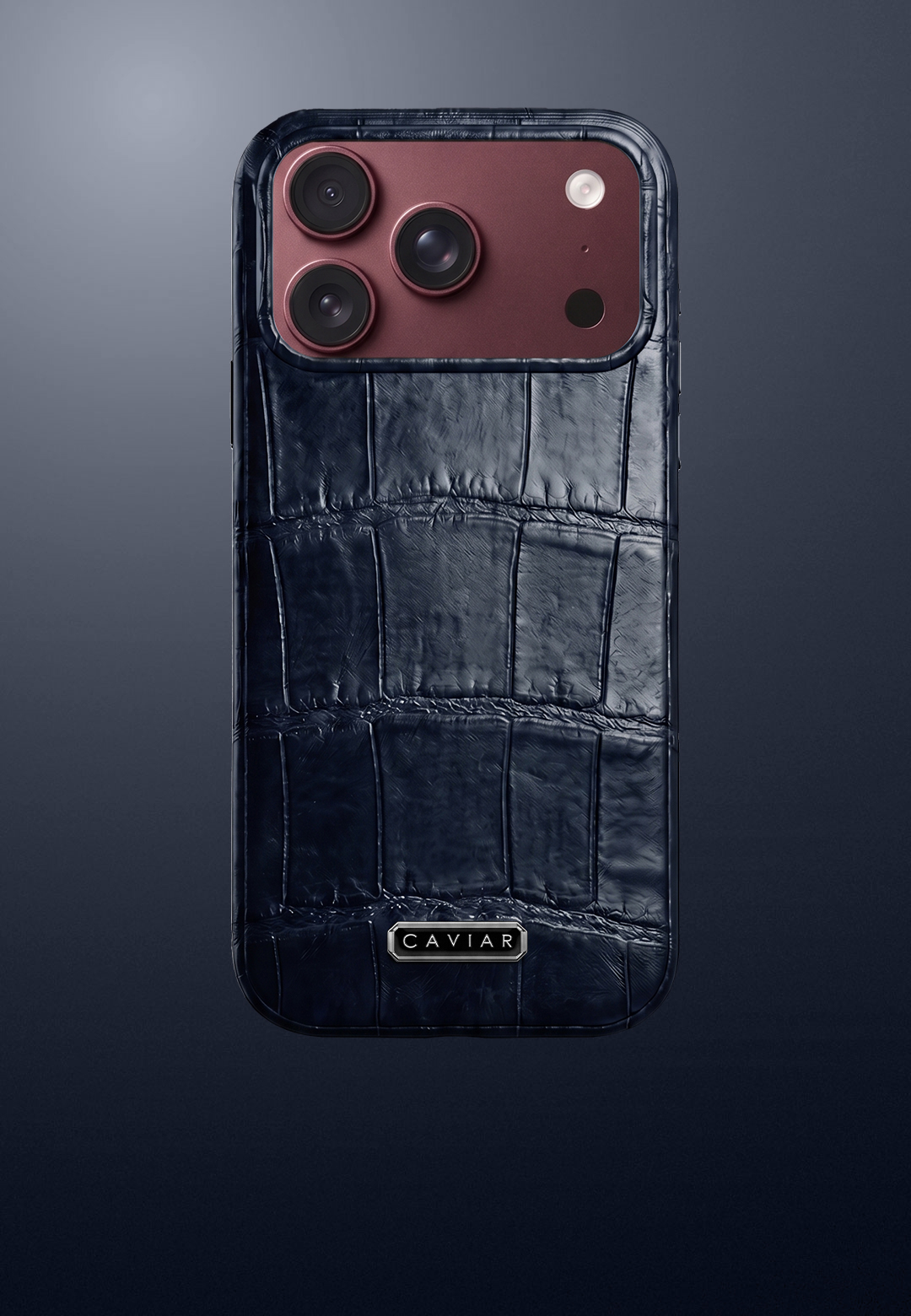 Case with a bugrundy body Stellar Blue