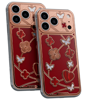 Custom iPhone 17 Pro/Pro Max Bouquet Doré