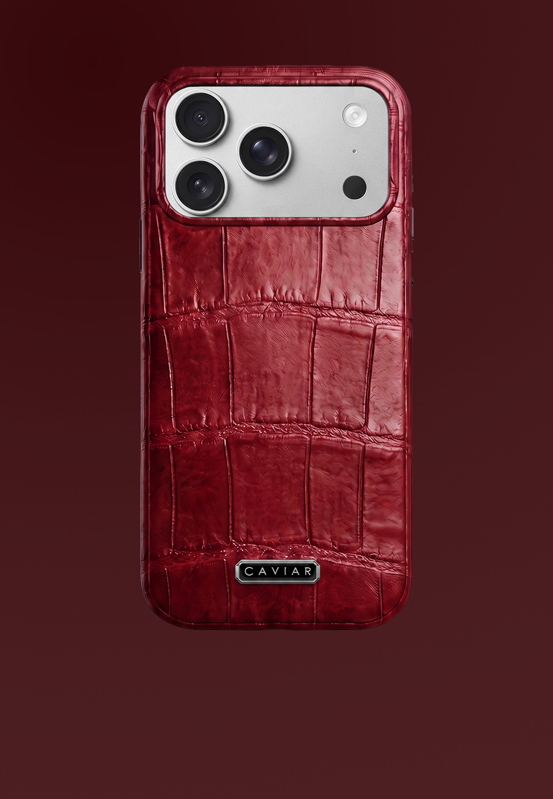 Case with silver body Phoenix