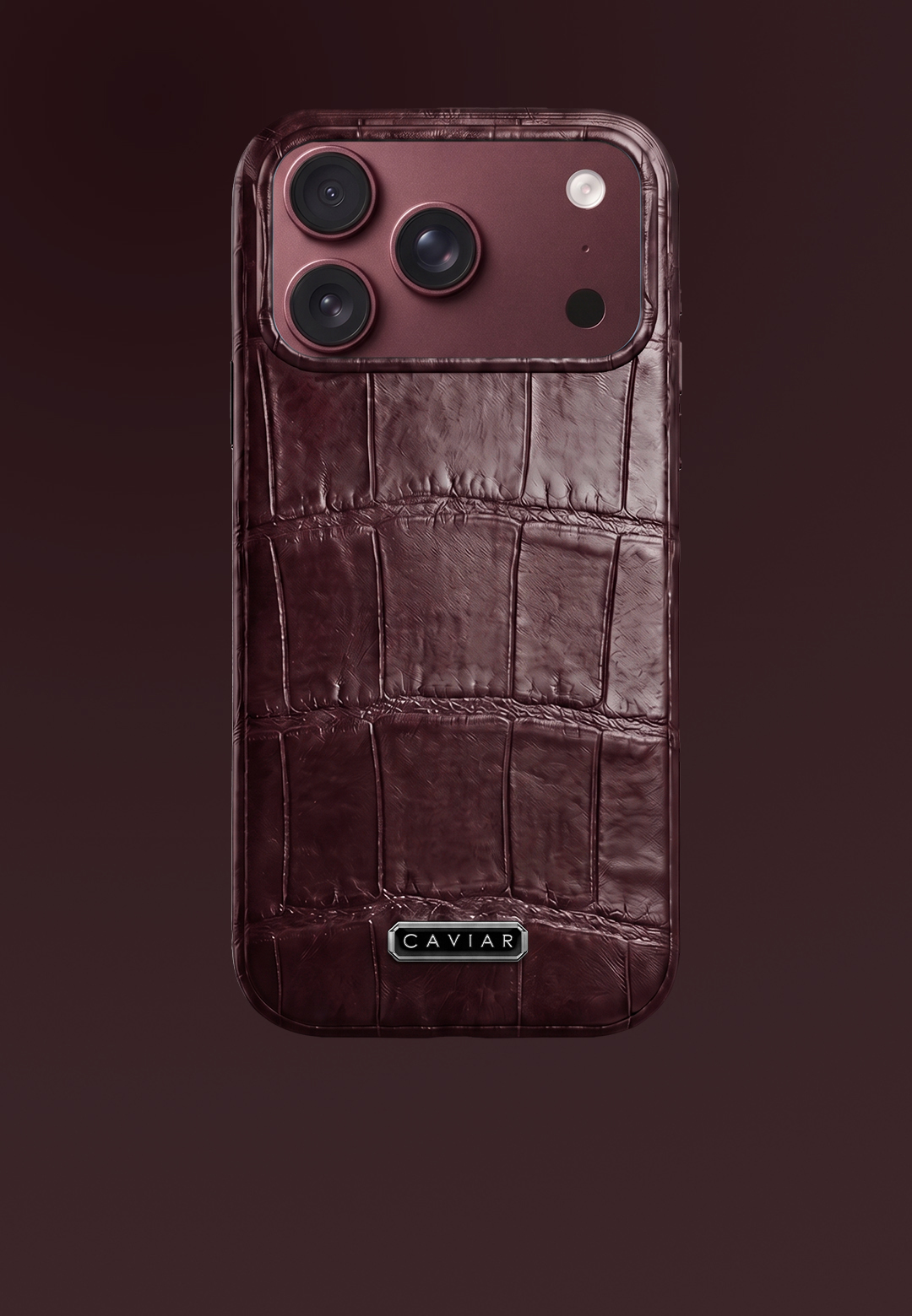 Case with a bugrundy body Burgundy