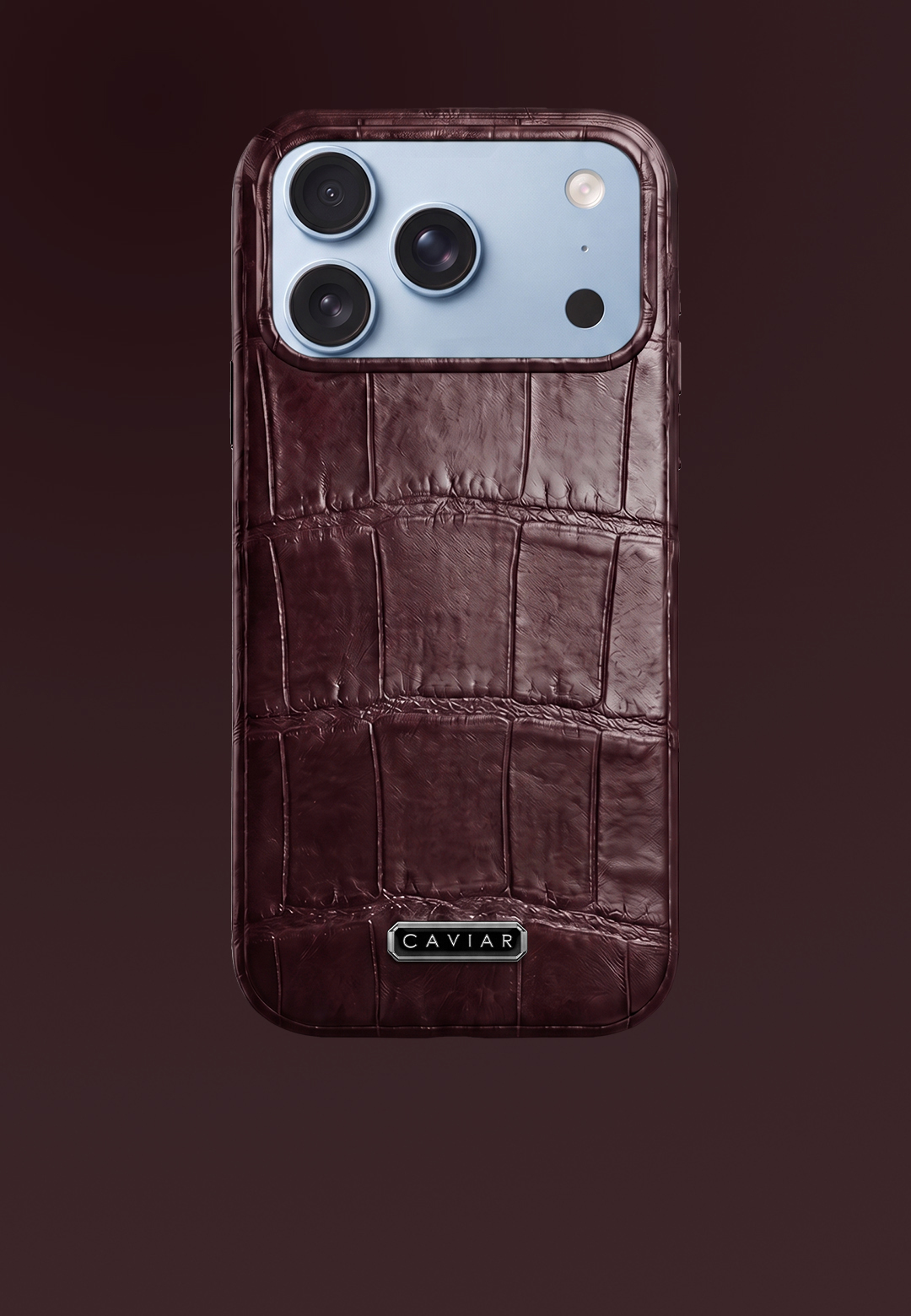 Case with a glacier body Burgundy