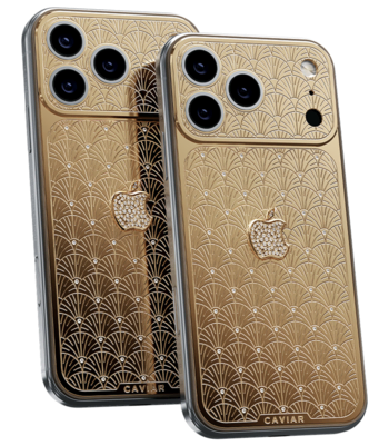 Custom iPhone 18 Pro/Pro Max Palmette