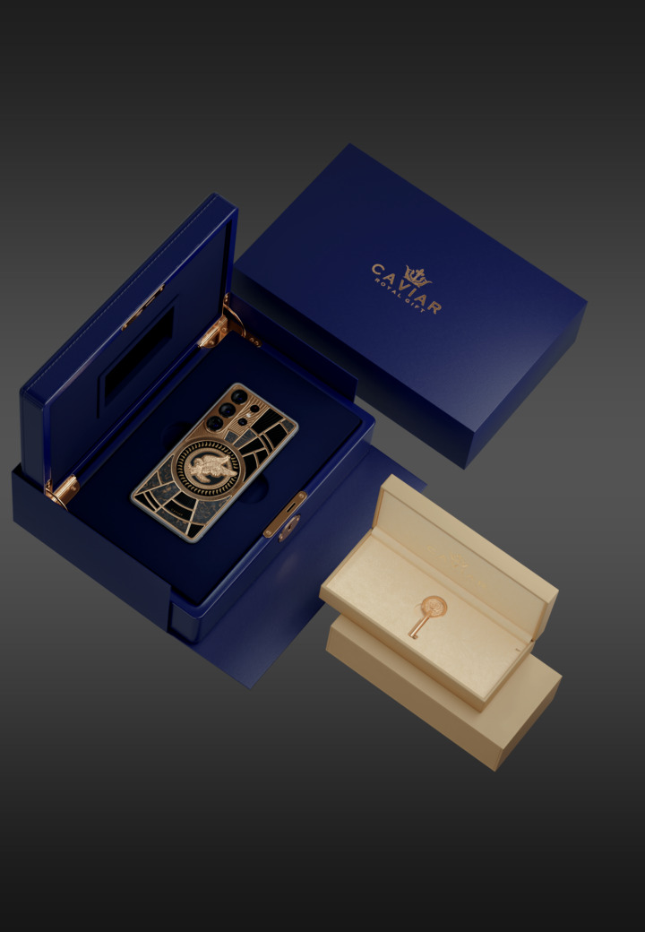 Packaging Falcon