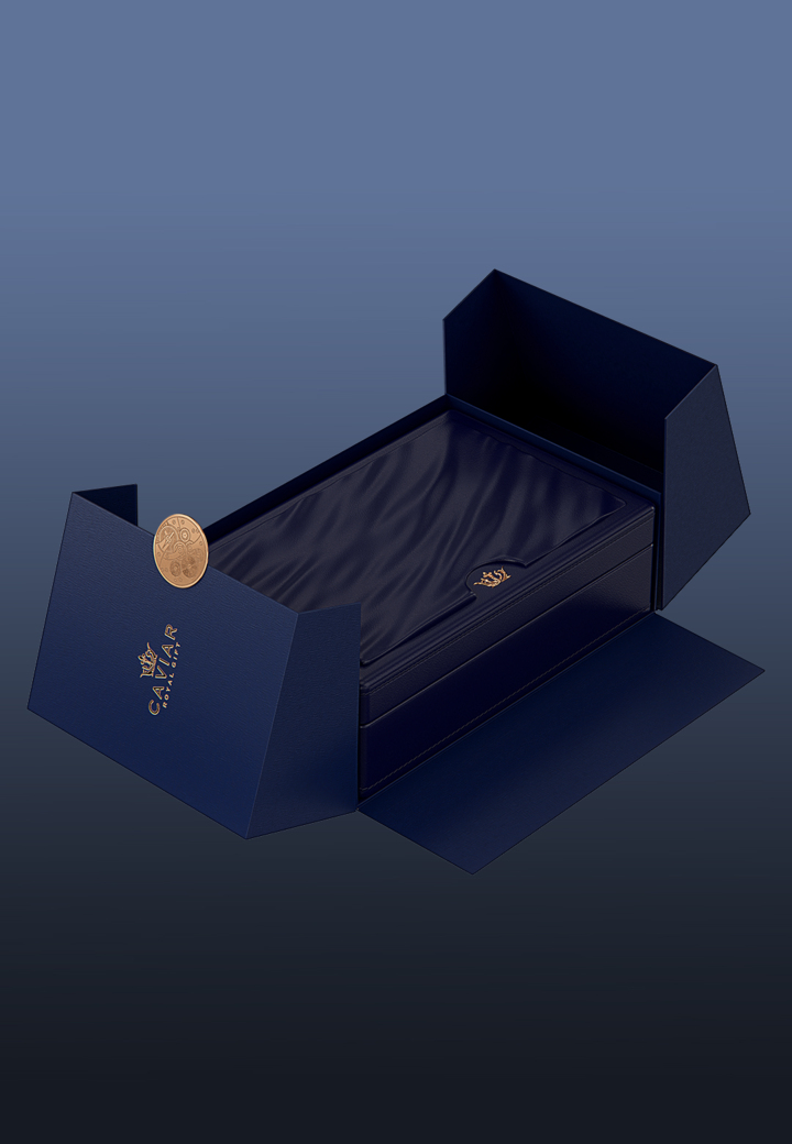 Collector’s Case Celestial