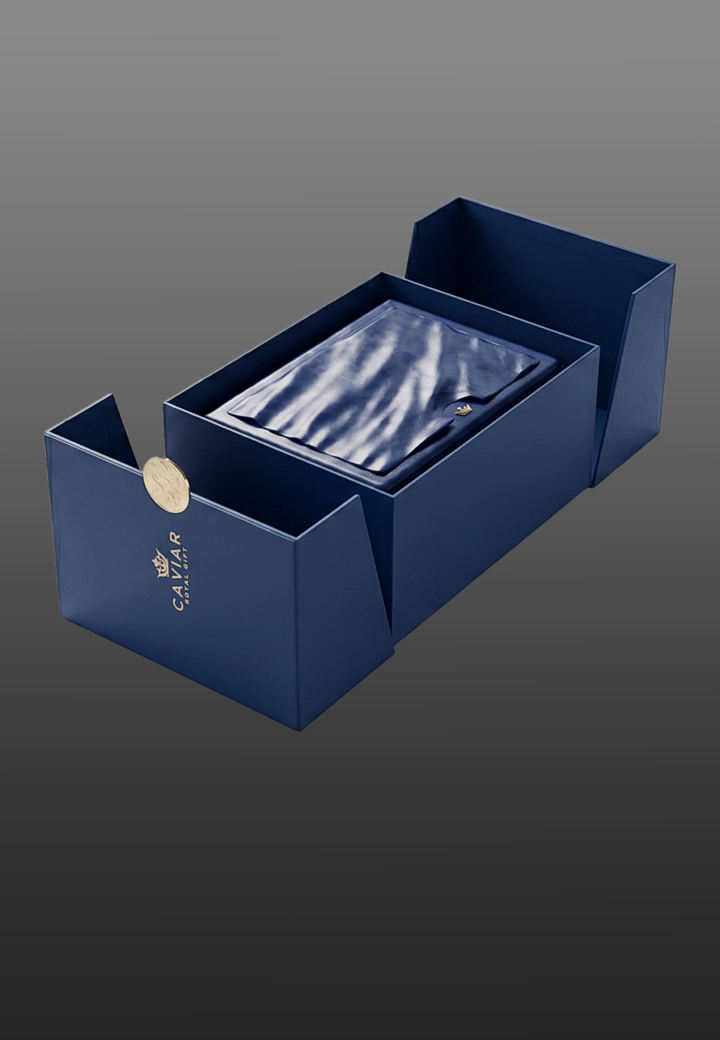Collector’s Case Portugieser